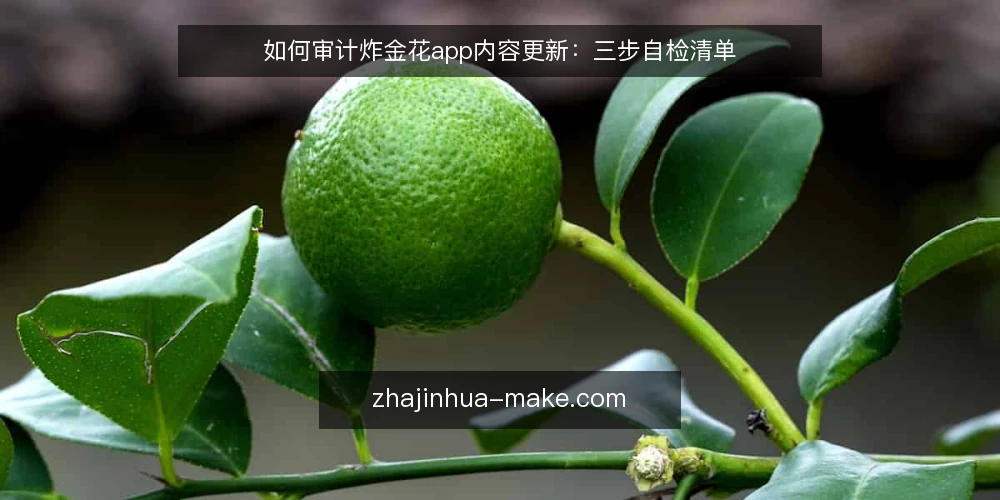 如何审计炸金花app内容更新:三步自检清单 — 为什么现在做一次内容更新审计 配图